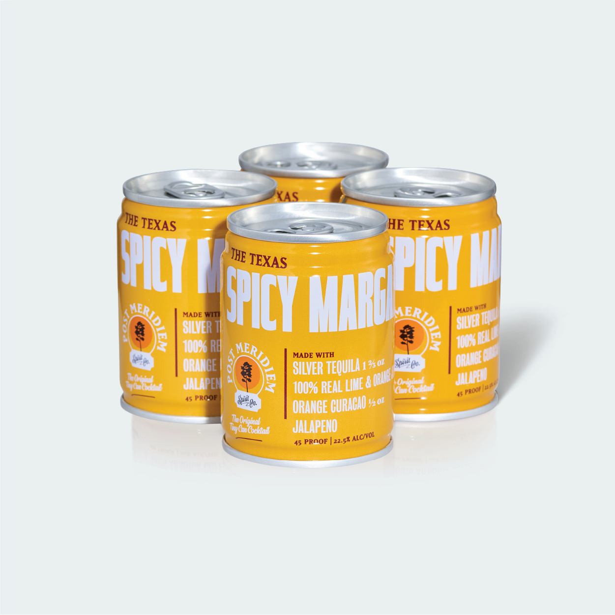 The Texas Spicy Margarita - 4pk
